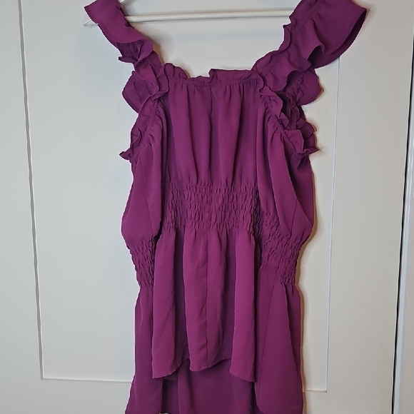 Lane Bryant Magenta Ruffled Blouse - Picture 7 of 7
